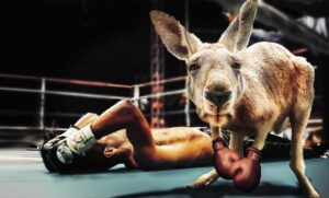 Uncover the Secrets of the Vatican’s Underground Boxing Ring: An Indiana Jones Adventure Awaits!