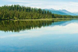 Before Change, Look Within: Unlocking True Transformation