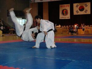Hapkido Master Takes on High School Wrestler in an Epic Scrapyard Showdown