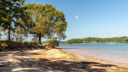 Man drowns while swimming in Lake Lanier – Now Habersham