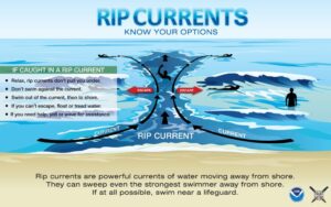 Beware of Rip Currents: How They Can Pull You Under in Just 15 Seconds