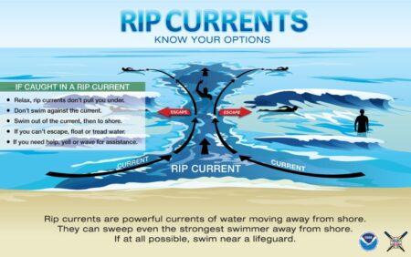 Beware of Rip Currents: How They Can Pull You Under in Just 15 Seconds