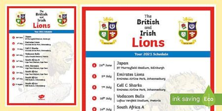 Unforgettable Lions Tour Highlights: Best Player, Most Iconic Moment, and Greatest Try Revealed!