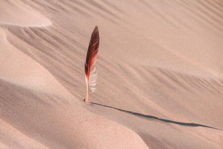 Unveiling the Secrets of the 2025 Dakar Rally: 10 Surprising Discoveries from the Desert Dunes