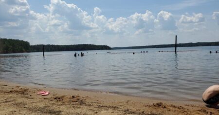 Rolling View Swim Area at Falls Lake Closed Due to Hazardous E. coli Contamination