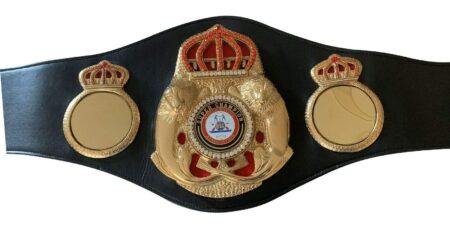 Meet the Champions: An Exclusive Look Inside the WBA’s Legendary Boxing Hall of Fame