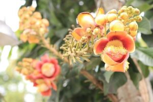 Bavuma Dominates Intense Fitness Drill as South Africa Gears Up for a Strong Start at Eden Gardens