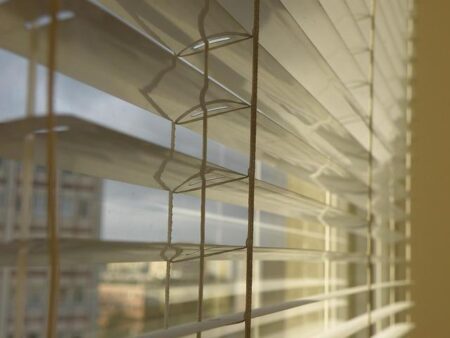 India Makes History with Victory in the Inaugural Blind Women’s T20 World Cup