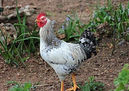 Why the Wizards’ Current Roster Isn’t Built for Championship Glory