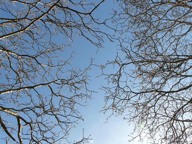 Copa Libertadores Champions: Discover the Teams That Have Dominated the Title Over the Years Copa Libertadores Champions: Discover the Teams That Have Dominated the Title Over the Years