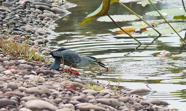 Lisa Bates Honored as BSCA Coach of the Year 2025 Lisa Bates Honored as BSCA Coach of the Year 2025