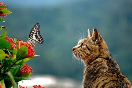 13-Year-Old Yu Zidi Stuns Crowd with Victory in Thrilling 400 IM Showdown at Chinese National Games 13-Year-Old Yu Zidi Stuns Crowd with Victory in Thrilling 400 IM Showdown at Chinese National Games