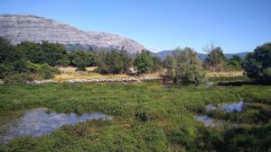 Dinara Safina Returns to Coaching: Mentoring Uzbekistan’s Rising Tennis Star!