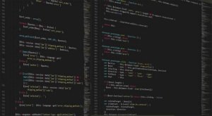 Van Empel Aims High: Ambitious Growth Goals Set for 2025 After a Year of Valuable Lessons