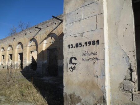 Merab Dvalishvili Shares His Inspiring Journey to Achieving the American Dream