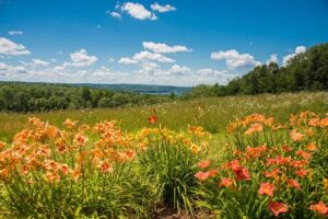 Worcester Strengthens Squad with Exciting Signing of Former Exeter Centre Hendrickson