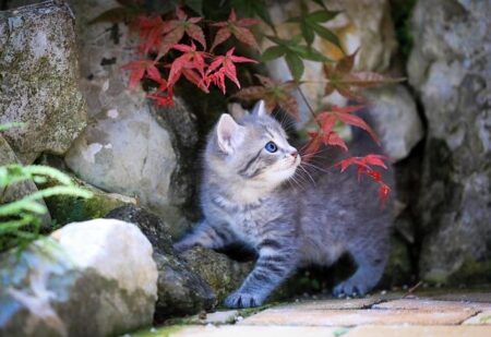 You can not blame players for leaving – Hook