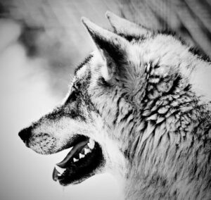 Iraola Praises Areola’s Stunning Ten-Save Masterclass Against Cherries