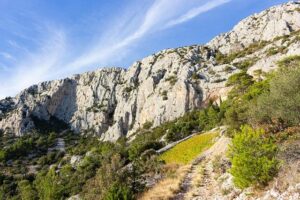 Nikola Jokić Shines with 36 Points in Electrifying Victory Over Sacramento Kings