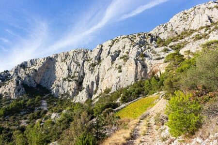 Nikola Jokić Shines with 36 Points in Electrifying Victory Over Sacramento Kings Nikola Jokić Shines with 36 Points in Electrifying Victory Over Sacramento Kings