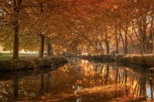 Edwin Diaz Reveals the Surprising Reason He Chose to Join the LA Dodgers