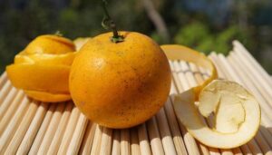 Cam McEvoy Ignites the Season with a Blazing 21.38 Opener in Tokyo, Ready to Conquer the World