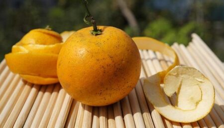 Cam McEvoy Ignites the Season with a Blazing 21.38 Opener in Tokyo, Ready to Conquer the World