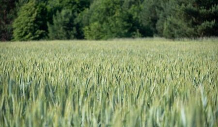 Throwback Thursday: When Ian Crocker Dazzled in 100 Butterfly in Montreal