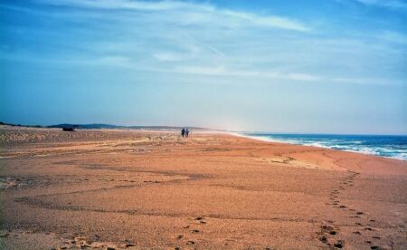 Andrew Tate vs Chase Demoor: Fight Time, Undercard Highlights, and How to Watch Live