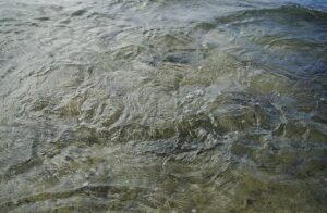 Eddie Hearn Calls for Patience as Anthony Joshua’s Boxing Future Remains Uncertain