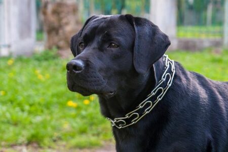 Sam Renner Secures Spot on 2026 WCC Men’s Golf Preseason Team Sam Renner Secures Spot on 2026 WCC Men’s Golf Preseason Team