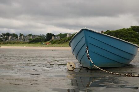 Nail-Biting Showdown: Netherlands Women Narrowly Defeat Scotland Women in ICC Women’s T20 World Cup Qualifier! Nail-Biting Showdown: Netherlands Women Narrowly Defeat Scotland Women in ICC Women’s T20 World Cup Qualifier!