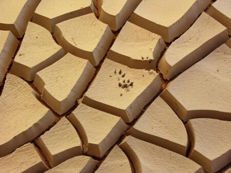 Amanda Nunes sees American Top Team ‘as my opponent too’ at UFC 324 – MMAWeekly.com Amanda Nunes sees American Top Team ‘as my opponent too’ at UFC 324 – MMAWeekly.com