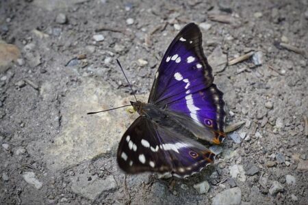 Ilia Beauty Teams Up with Paris Saint-Germain Women’s Soccer Team for an Exciting New Collaboration