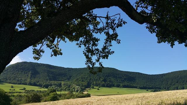 Michael Owen Unveils Unexpected Zinedine Zidane Insight Amid Manchester United Rumors Michael Owen Unveils Unexpected Zinedine Zidane Insight Amid Manchester United Rumors