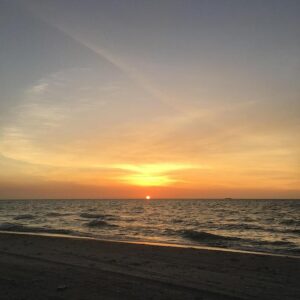 Phoenix Suns vs. Brooklyn Nets: Must-Know Odds, Expert Insights, and Winning Betting Trends for January 27, 2026