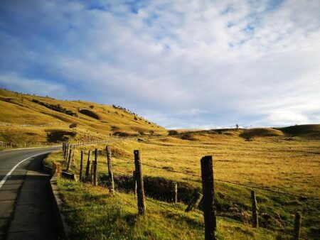 Marlins Boost Their Lineup by Adding Speedster Esteury Ruiz in Trade with Dodgers