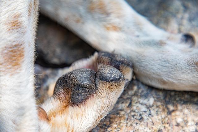 Hearn Delivers Stark Warning to Benn Following White’s Crushing Victory Over Aspinall Hearn Delivers Stark Warning to Benn Following White’s Crushing Victory Over Aspinall