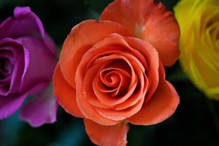 Jon Jones Raises Alarming Concerns About UFC’s Future Amid Gable Steveson’s Rise