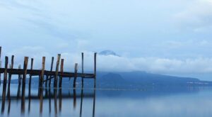 Sergio Pettis vs. Mitch McKee Headlines PFL Chicago This April – Grab Your Tickets Today!