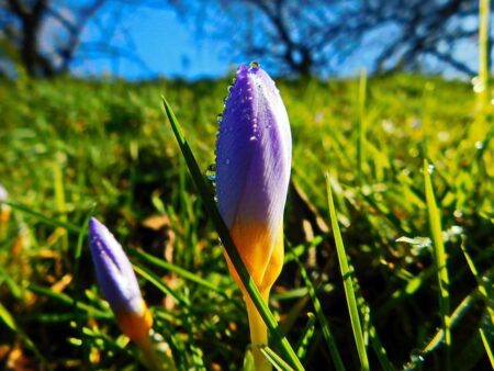 Amari Bailey Sets Sights on College Comeback After Brief NBA Stint