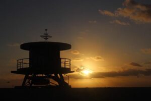 Miami R1 Showdown: Dimitrov vs. Collignon and Brooksby vs. Bergs – Who Will Prevail?