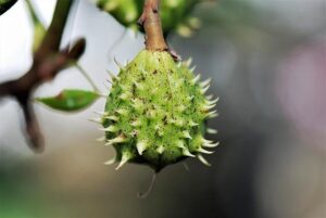 Dominating Victory: Buckeyes Sweep Scarlet Knights in Impressive Showdown!