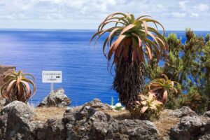 Michael Conlan is 72 perfect minutes away from achieving his dream