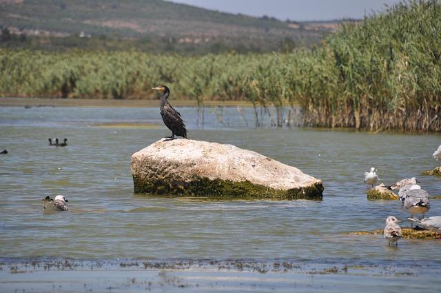Don’t Miss Tonight’s Kubrat Pulev vs. Murat Gassiev Showdown: Start Time, Ringwalks, Undercard, Predictions & Odds Don’t Miss Tonight’s Kubrat Pulev vs. Murat Gassiev Showdown: Start Time, Ringwalks, Undercard, Predictions & Odds