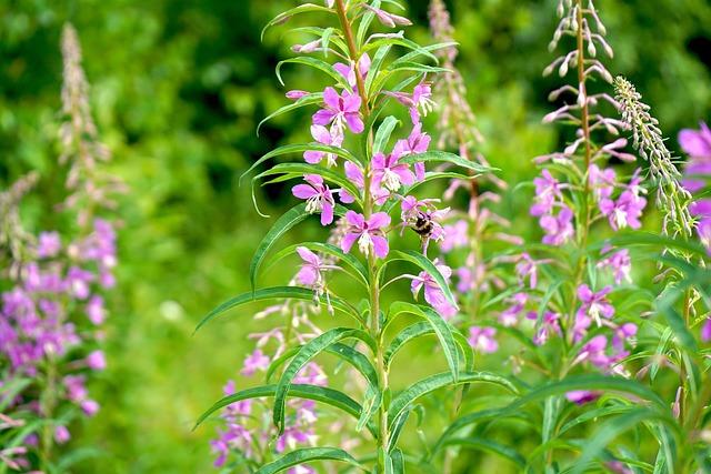 Ivan Puskovitch and Mariah Denigan Triumph with Stunning 3,000m Knockout Wins at U.S. Open Water Championships Ivan Puskovitch and Mariah Denigan Triumph with Stunning 3,000m Knockout Wins at U.S. Open Water Championships