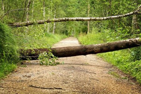 Severe Storm Shuts Down Schools, Golf Course, and Ball Fields
