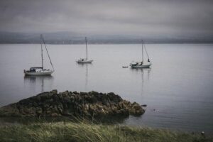 Elior UK Steps Up as Exciting New Champions of Champ Rugby