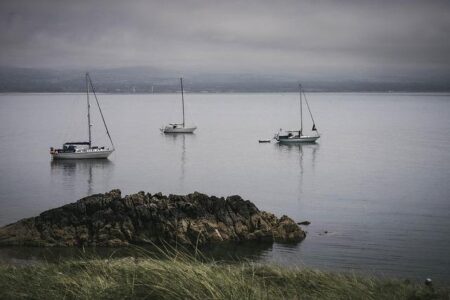 Elior UK Steps Up as Exciting New Champions of Champ Rugby Elior UK Steps Up as Exciting New Champions of Champ Rugby