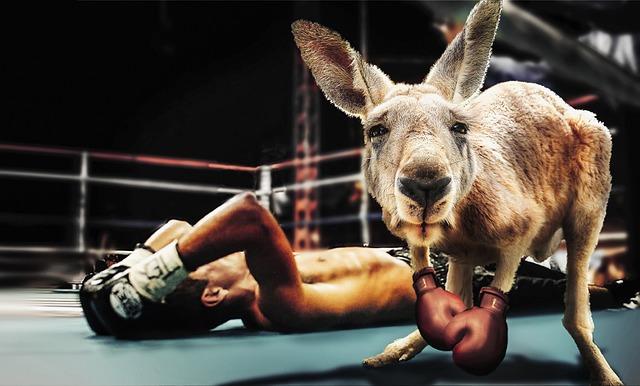 Bologna Boxing Night – Paladozza – Bologna Welcome Bologna Boxing Night – Paladozza – Bologna Welcome